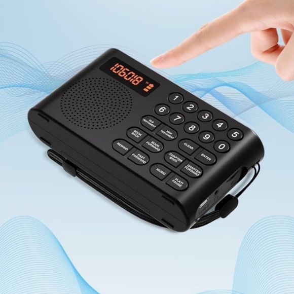 Audio Bible Player - Picture 13 of 17